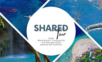 Shared Tours Whale Shark in Oslob and Moalboal Pescador Sardines Run and Turtle